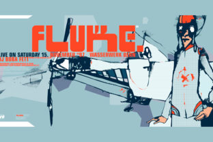 BD Fluke Typeface Review for Small Business Branding