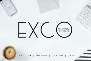 Exco: A Designer's Honest Review for Real-World Branding