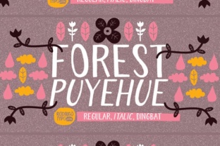 Forest Puyehue: A Handmade Sans Serif for Scroll-Stopping Design
