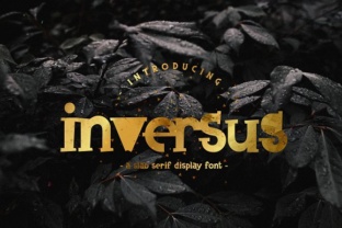 Inversus: A Slab Serif Typeface for Bold Brand Statements