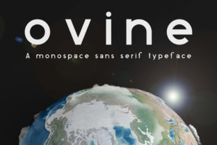 Ovine Font: A Clean Sans Serif for Modern Digital Branding