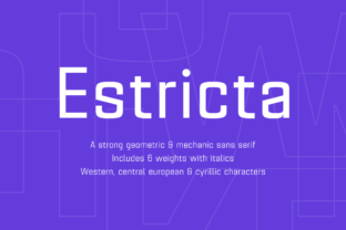 Testing Estricta Family for a Modern Brand Identity