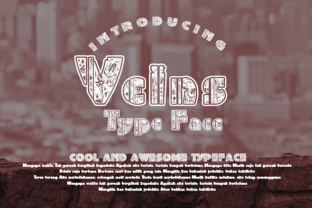 Veins: The Premium Decorative Typeface for Scroll-Stopping Campaigns