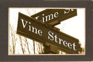Vine Street: A Serif Typeface That Feels Like Home